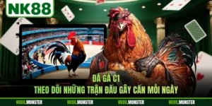 Đá Gà C1 - Theo Dõi Những Trận Đấu Gây Cấn Mỗi Ngày