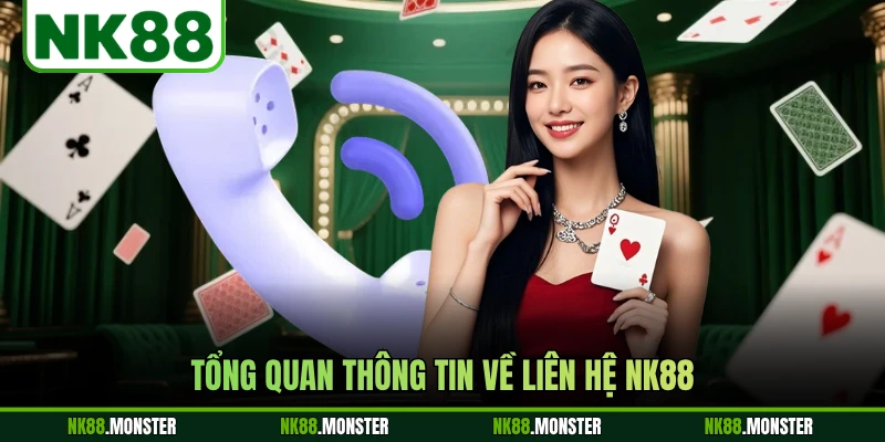 Tổng quan thông tin về liên hệ NK88